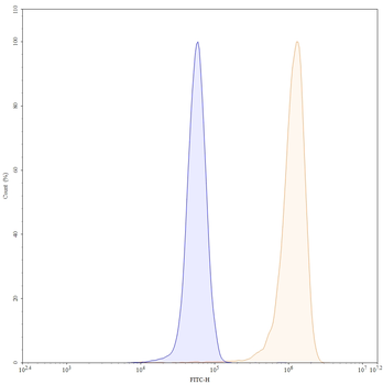 MMP14 Mouse Monoclonal Antibody