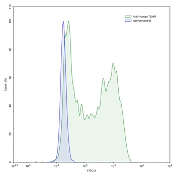 TSHR Mouse Monoclonal Antibody