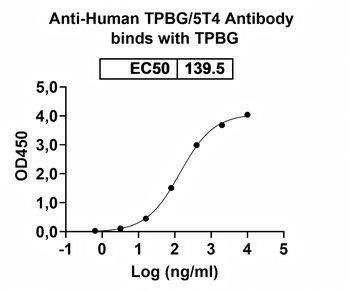 Recombinant Human TPBG/5T4 Protein, C-His