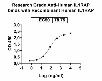 Recombinant Human IL1RAP Protein, C-His