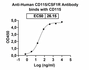 Recombinant Human CD115/CSF1R Protein, C-His
