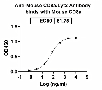 CD8a/Lyt2 Rat Monoclonal Antibody