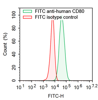 CD80/B7-1 Human Monoclonal Antibody (FITC)