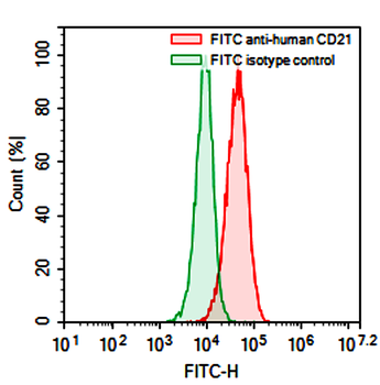 CD21/CR2 Mouse Monoclonal Antibody (FITC)