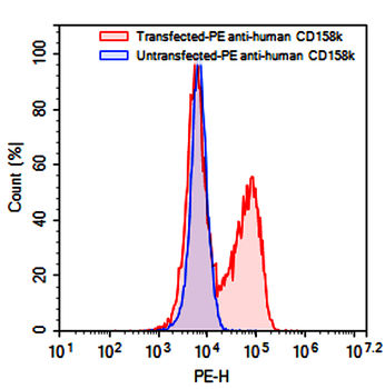 CD209 Mouse Monoclonal Antibody (PE)