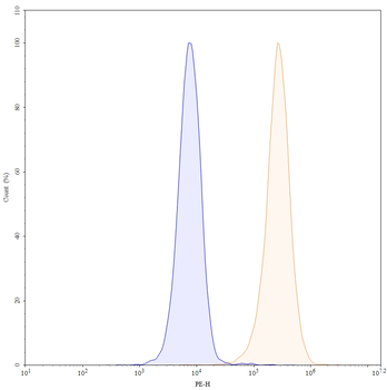 FOLH1/PSMA Human Monoclonal Antibody (PE)