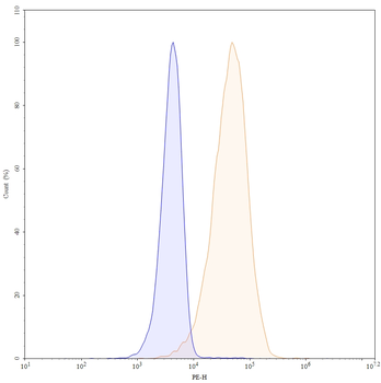 CD146/MUC18/MCAM Human Monoclonal Antibody (PE)