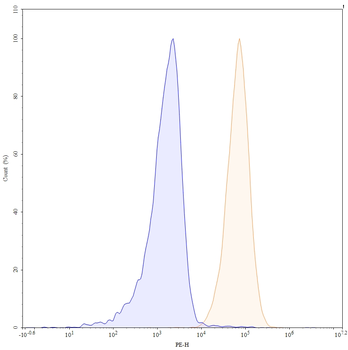 CD70 Human Monoclonal Antibody (PE)