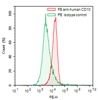 CD10/MME Mouse Monoclonal Antibody (PE)