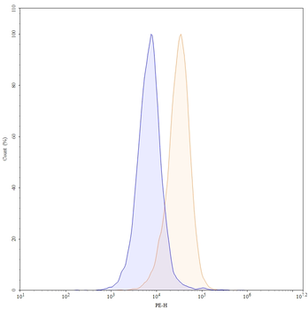 CD115/CSF1R Human Monoclonal Antibody (PE)