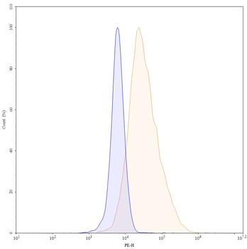 CD54/ICAM1 Human Recombinant Antibody (PE)
