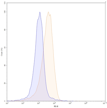 CD205/LY75 Rat Monoclonal Antibody (PE)