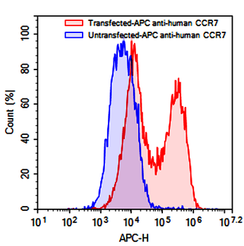 CD197/CCR7 Mouse Monoclonal Antibody (APC)