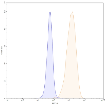CD371/CLEC12A Mouse Monoclonal Antibody (FITC)