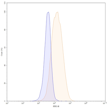 CD166/ALCAM Mouse Monoclonal Antibody (FITC)
