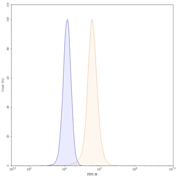 CD309/KDR/VEGFR-2 Human Monoclonal Antibody (FITC)