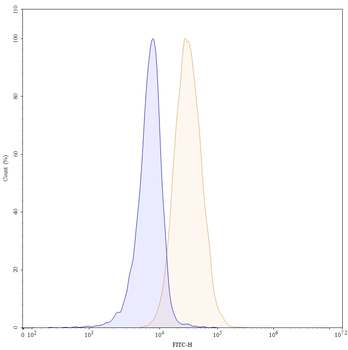 CD70 Human Monoclonal Antibody (FITC)