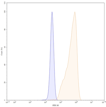 CTGF/CCN2 Mouse Monoclonal Antibody (FITC)