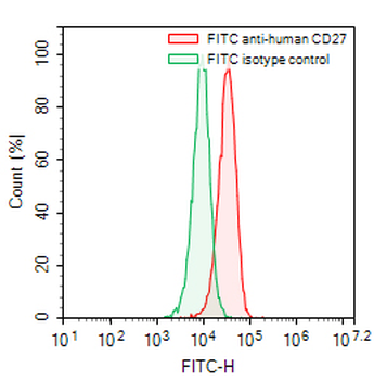 CD27 Mouse Monoclonal Antibody (FITC)