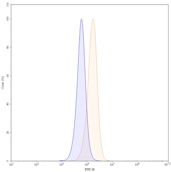 CD182/CXCR2 Mouse Monoclonal Antibody (FITC)
