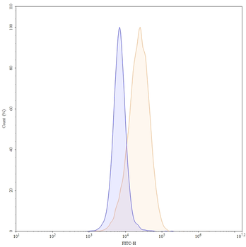 CD117/KIT Human Monoclonal Antibody (FITC)
