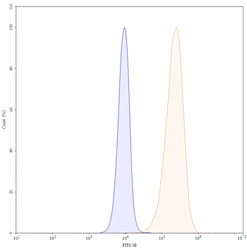 CD98/SLC3A2 Mouse Monoclonal Antibody (FITC)