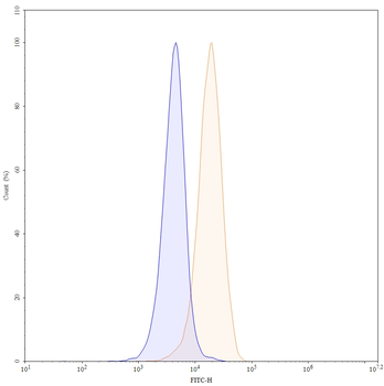 CD2 Mouse Monoclonal Antibody (FITC)