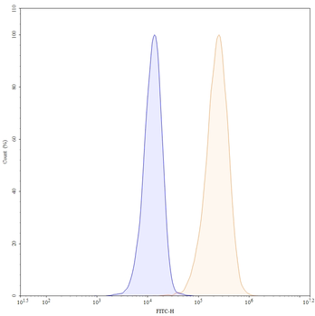 CD54/ICAM1 Mouse Monoclonal Antibody (FITC)