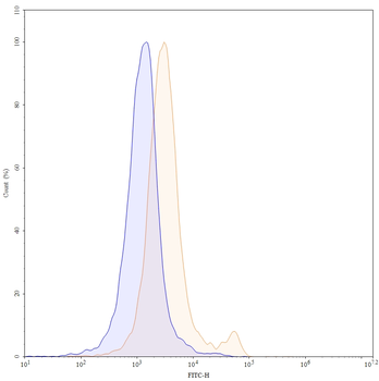 CD8a/Lyt2 Rat Monoclonal Antibody (FITC)