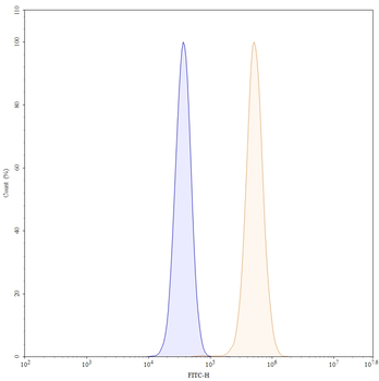 PDGFB Mouse Monoclonal Antibody (FITC)