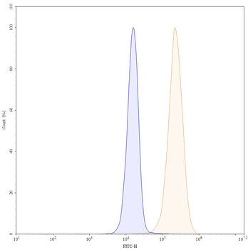 EGFR/ERBB1/HER1 Mouse Monoclonal Antibody (FITC)