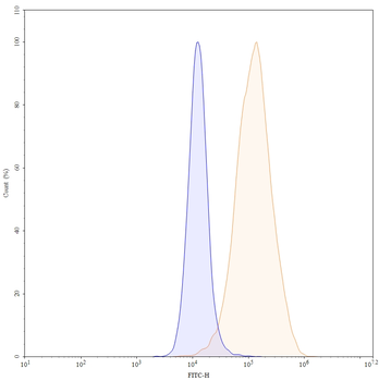 SLC34A2/NaPi2b Human Monoclonal Antibody (FITC)