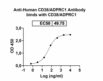 CD38/ADPRC1 Mouse Monoclonal Antibody