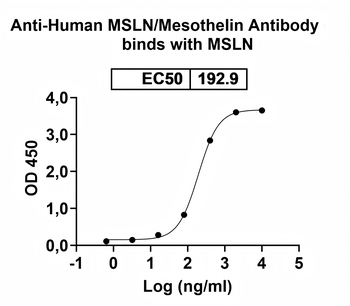 MSLN/Mesothelin Mouse Monoclonal Antibody