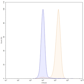 MSLN/Mesothelin Mouse Monoclonal Antibody