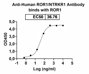 ROR1/NTRKR1 Mouse Monoclonal Antibody