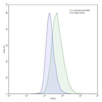 SLITRK6 Human Recombinant Antibody
