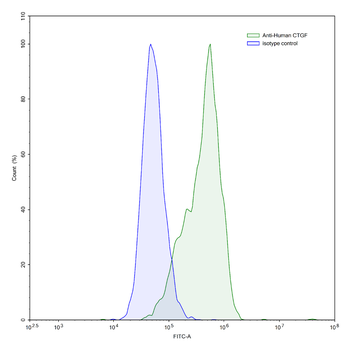 CTGF/CCN2 Mouse Monoclonal Antibody