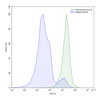HLA-B*27 Mouse Monoclonal Antibody