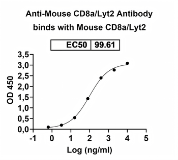 CD8a/Lyt2 Rat Monoclonal Antibody