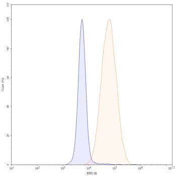 CD93/C1qR Mouse Monoclonal Antibody