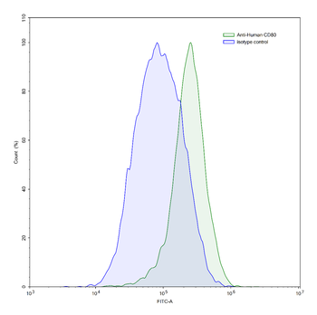 CD80/B7-1 Mouse Monoclonal Antibody