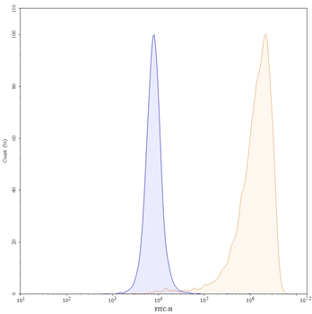 CD70 Mouse Monoclonal Antibody