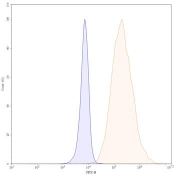 CD66c/CEACAM6 Human Monoclonal Antibody