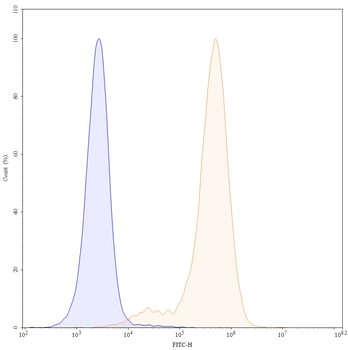 CD34 Mouse Monoclonal Antibody