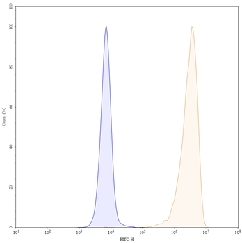 CD25/IL2RA Human Monoclonal Antibody