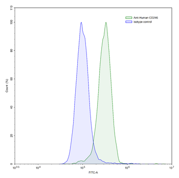 CD246/ALK Mouse Monoclonal Antibody