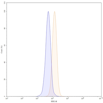CD182/CXCR2 Mouse Monoclonal Antibody