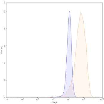 CD166/ALCAM Mouse Monoclonal Antibody