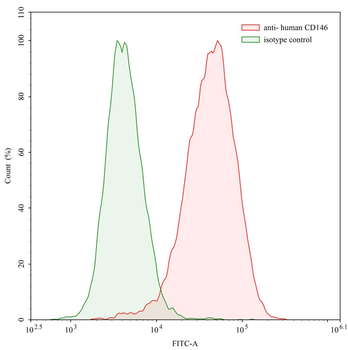 CD146/MUC18/MCAM Human Monoclonal Antibody